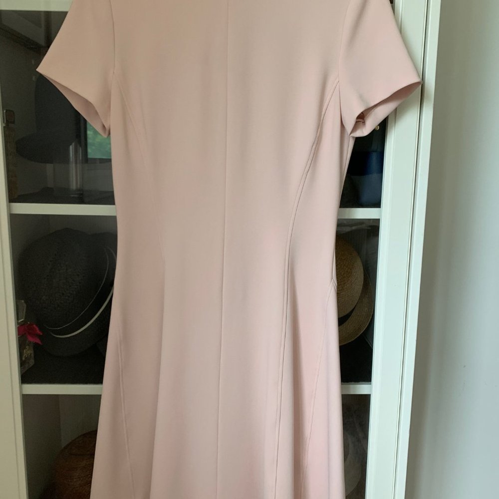 NWOT Theory Modern Seamed Shift Dress in Crepe - Sheer Pink - Picture 3 of 9